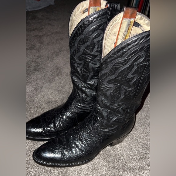 Montana turtles ๐ข๐ข 9.5 D asking 340 - Picture 1 of 10